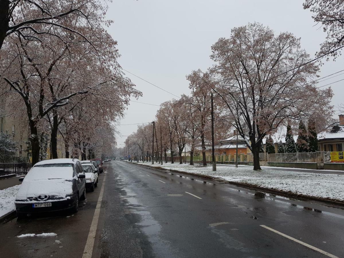 Lia Apartman Kiskunhalas Exteriér fotografie