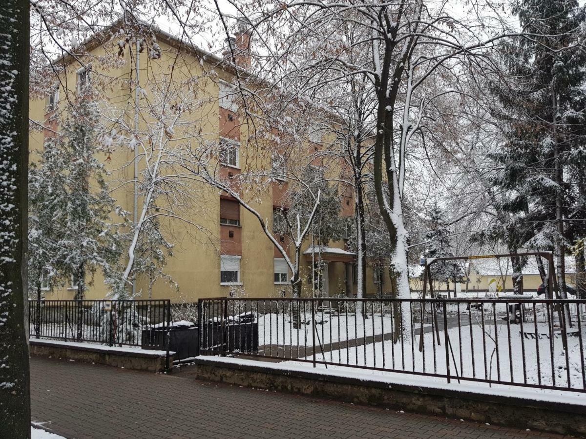 Lia Apartman Kiskunhalas Exteriér fotografie